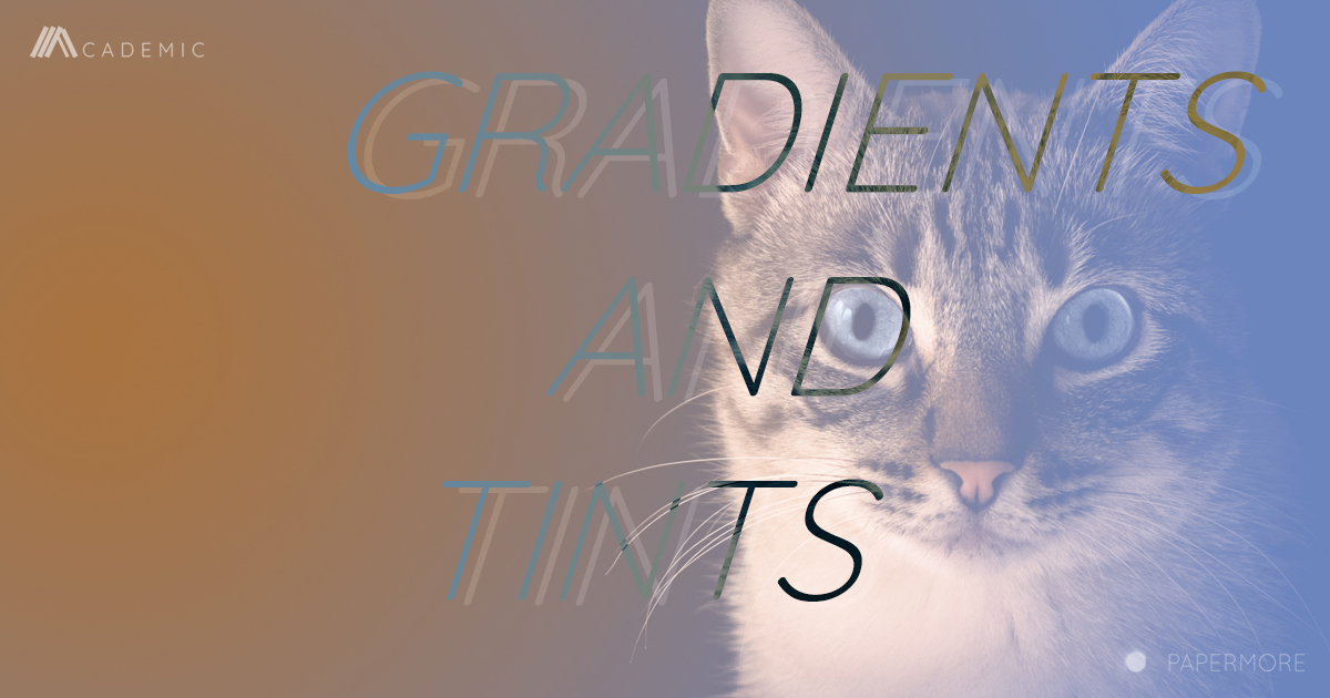 Gradient Tinting Class Gradients and Tints | เกรเดียนท์และทินท์ – PAPERMORE