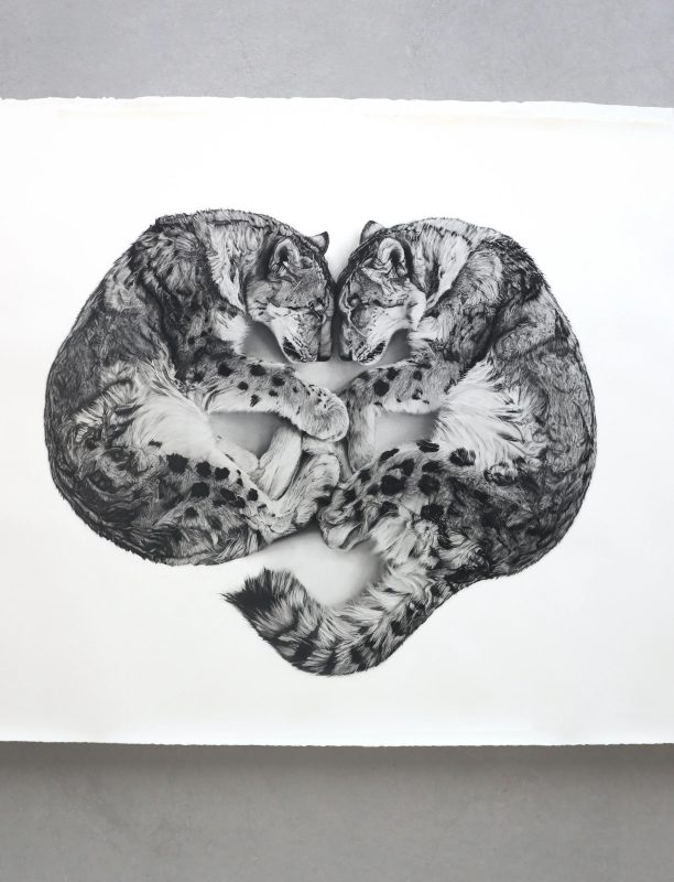 ภาพวาดชื่อ ‘Ghost’ ของ จอร์เจีย แฮร์ริส กับ ร็อบ แฮร์ริส