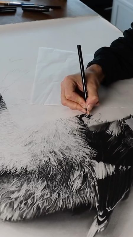 จอร์เจีย แฮร์ริส กับ ร็อบ แฮร์ริส กำลังใช้ดินสอถ่านวาดลวดลายลงบนกระดาษ